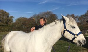 Tracey Coulson is a McTimoney Practitioner treating horses and dogs 
